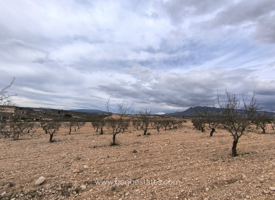 Wiederverkauf - Grundstück - Pinoso - Pinoso Centro