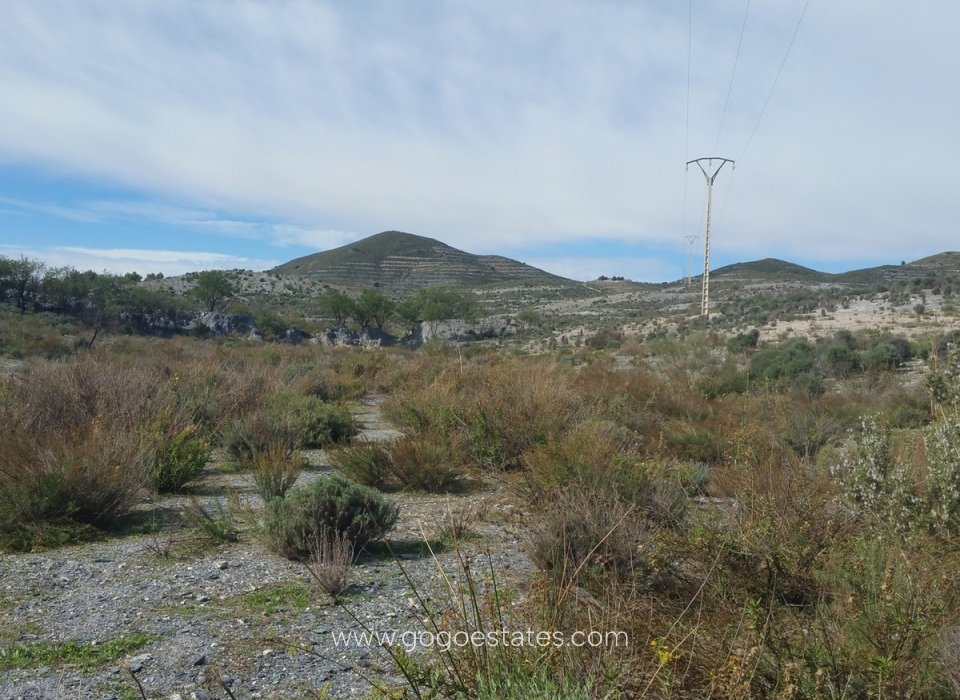 Wiederverkauf - Parcela - Lorca - Corredera