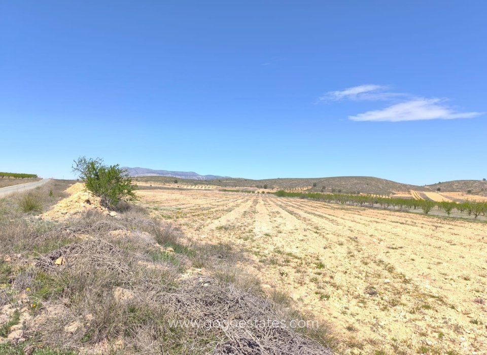 Wiederverkauf - Parcela - Torre - Pacheco - Torre-Pacheco - Torre-Pacheco ciudad