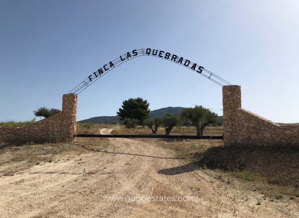 Wiederverkauf - Parcela - Yecla