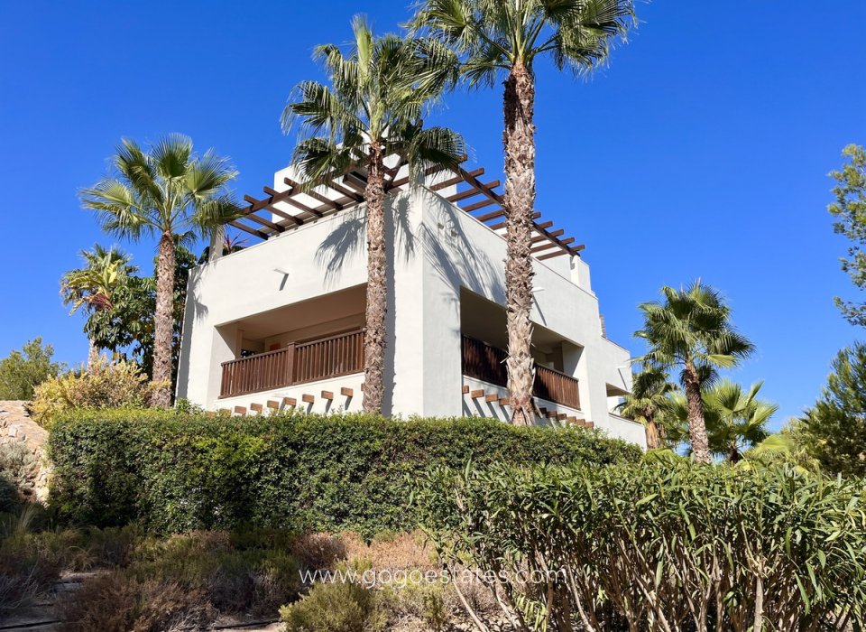 Wiederverkauf - Wohnung - Wohnung im Erdgeschoss - San Miguel De Salinas - San Miguel de Salinas Centro