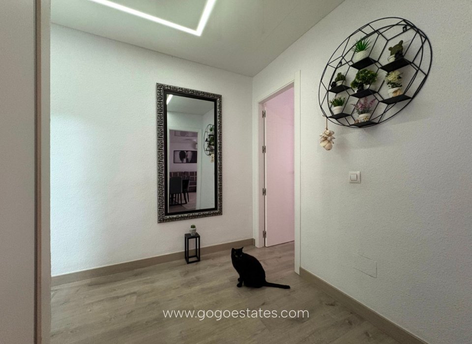 Wiederverkauf - Wohnung - Wohnung im Erdgeschoss - Torrevieja - Torrevieja Centro