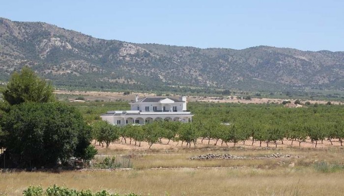 Nieuwbouw - Villa - Hondón de las Nieves - Camino Del Prado