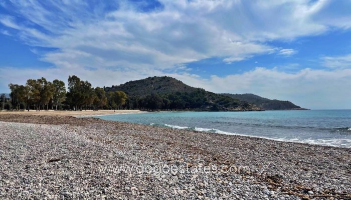 Obra Nueva - Atico - Villajoyosa - Villajoyosa/Vila Joiosa. La