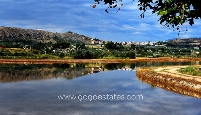 Obra Nueva - Villa / Chalet - Calasparra - Coto riñales