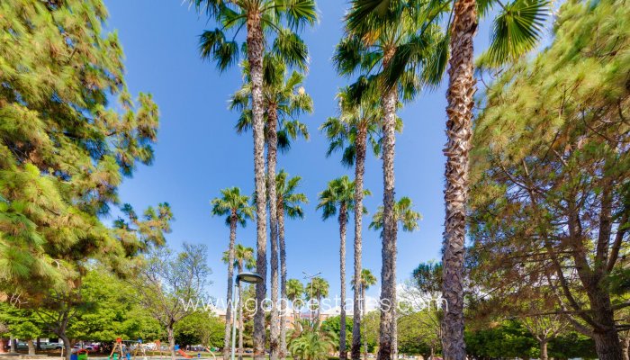 Revente - Bungalow - Torrevieja - Playa de La Acequion