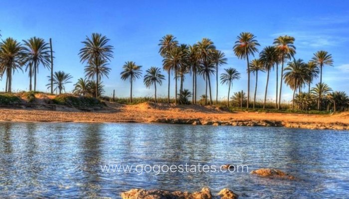 Nieuwbouw - Penthouse - Torrevieja - Playa del Cura