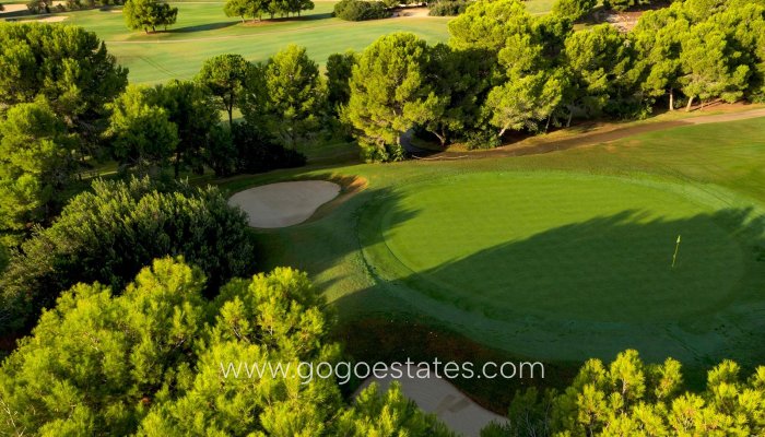 Nieuwbouw - Villa - Pilar De La Horadada - Lo Romero Golf