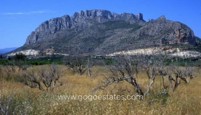 Nieuwbouw - Appartement - El Verger