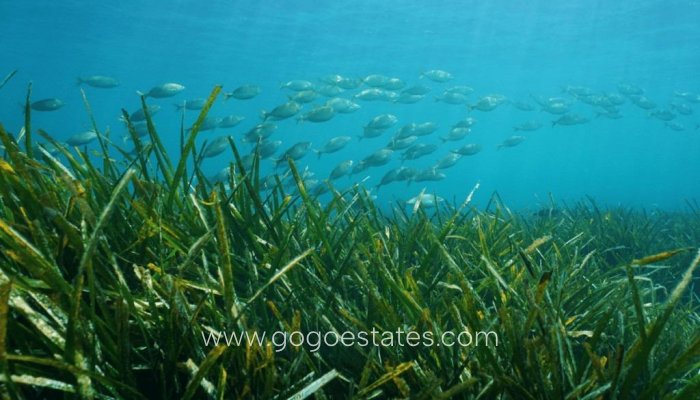 Nieuwbouw - Villa - Benissa - Racó Del Galeno