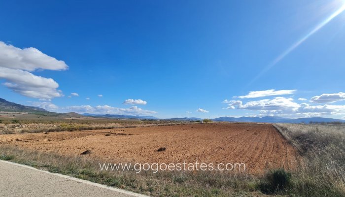 Resale - Plot - Land - Yecla - Yecla Centro