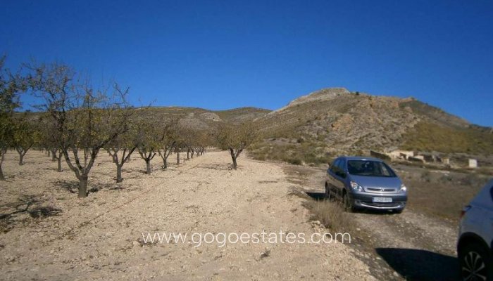 Resale - Plot - Land - Yecla - Yecla Centro