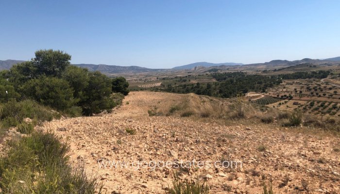 Wiederverkauf - Grundstück - Jumilla - La Zarza