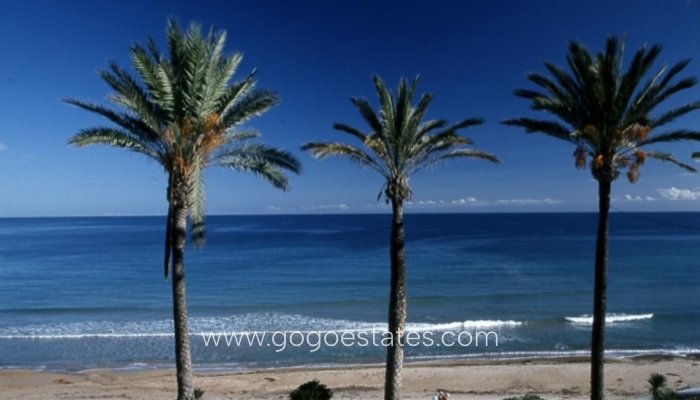 Nieuwbouw - Bungalow - Pilar De La Horadada - Parque Ramon eugenio Escudero