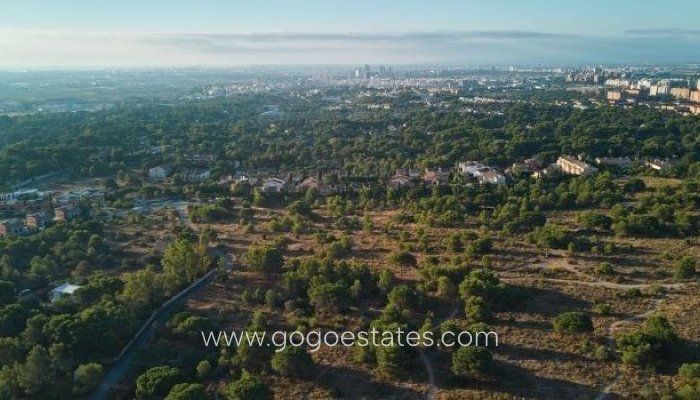 Nieuwbouw - Apartment - Godella - Campolivar