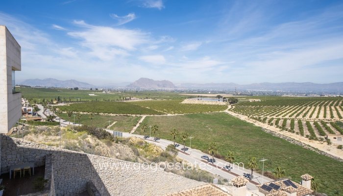 Nieuwbouw - Villa - Algorfa - La finca golf
