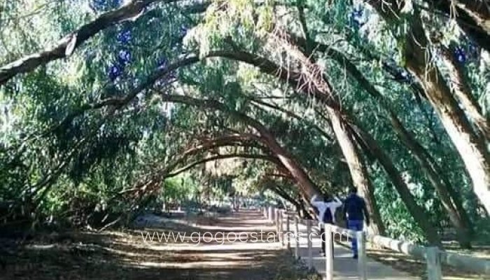 Nieuwbouw - Bungalow - Torrevieja - Altos del Sol