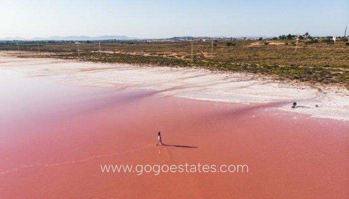 Nieuwbouw - Apartment - Torrevieja - Centro