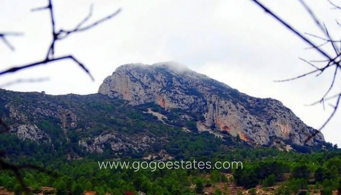 Nieuwbouw - Villa - La Romana - Batistes