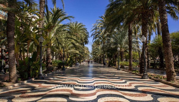 Nieuwbouw - Apartment - Alicante - Centro