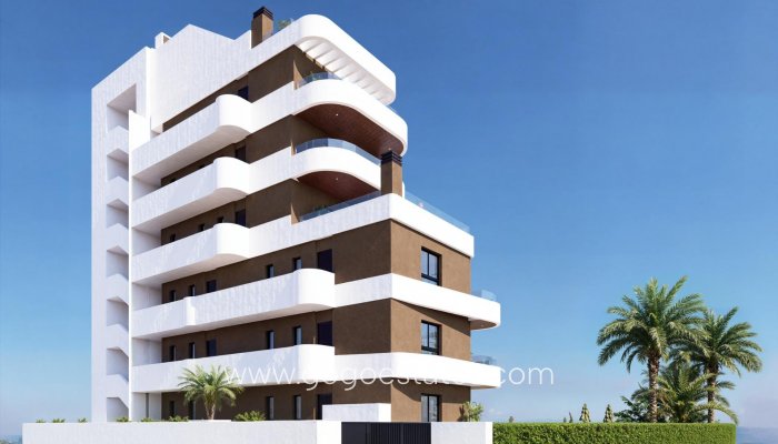 Nouvelle construction - Attique - Guardamar del Segura - Camino del Puerto