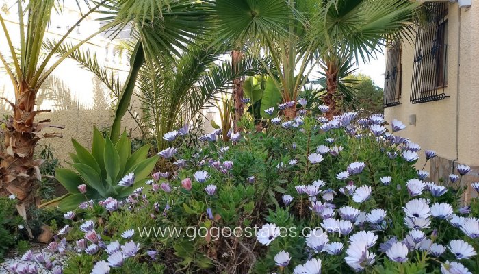 Te koop - Huis - Vrijstaande Villa - Orihuela - Los Balcones