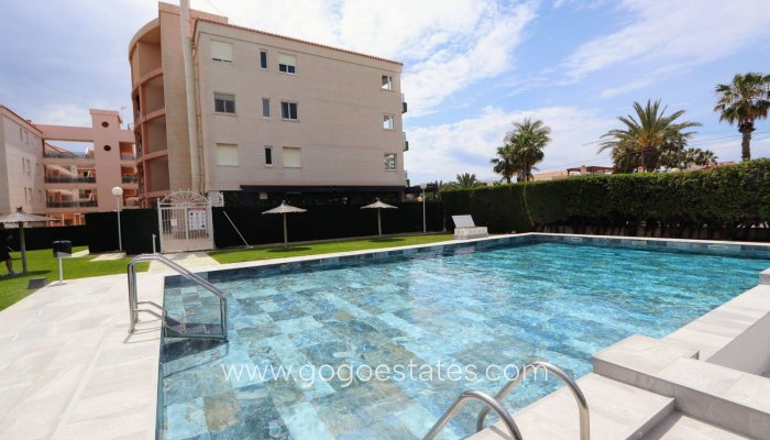 Revente - Appartement - Appartement au rez-de-chaussée - Orihuela - Playa Flamenca
