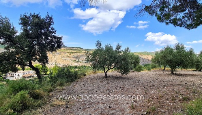 Te koop - Huis - Finca - Cortijo - Muro de Alcoy - Muro de Alcoy Centro