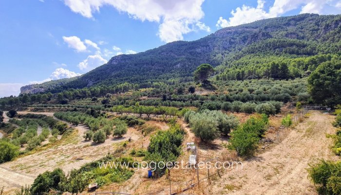 Te koop - Huis - Finca - Cortijo - Muro de Alcoy - Muro de Alcoy Centro