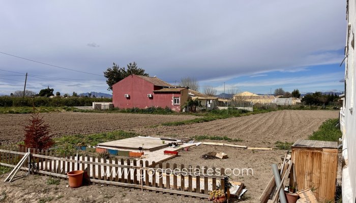 Te koop - Huis - Finca - Cortijo - Alicante - Dolores Centro