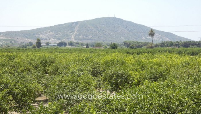 Revente - Maison - Villa Individuelle - Bigastro