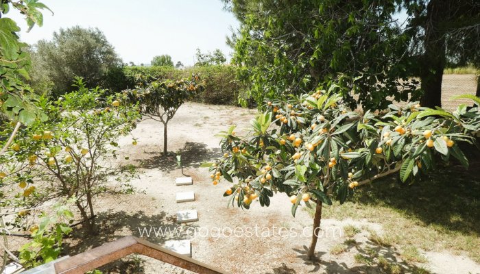 Te koop - Huis - Finca - Cortijo - Alicante - Dolores Centro