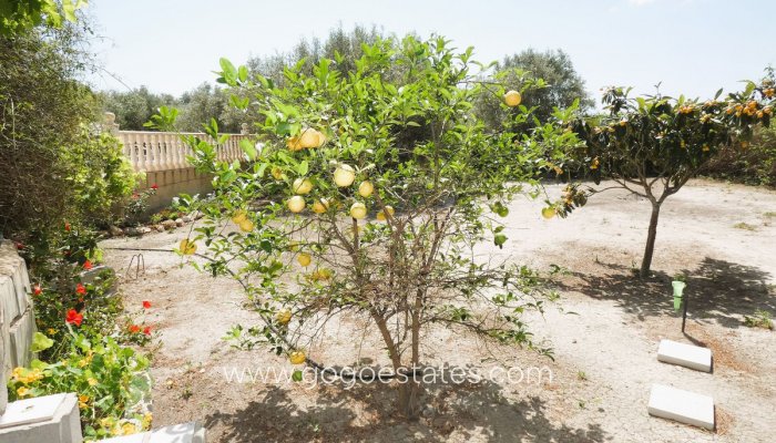 Te koop - Huis - Finca - Cortijo - Alicante - Dolores Centro