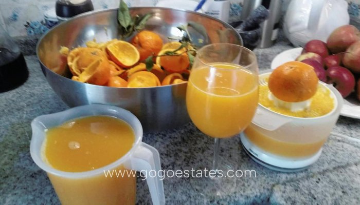 Te koop - Huis - Finca - Cortijo - Alicante - Dolores Centro