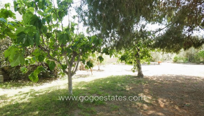 Te koop - Huis - Finca - Cortijo - Alicante - Dolores Centro