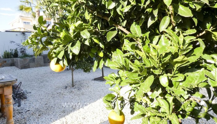 Te koop - Huis - Vrijstaande Villa - Rojales - Ciudad Quesada