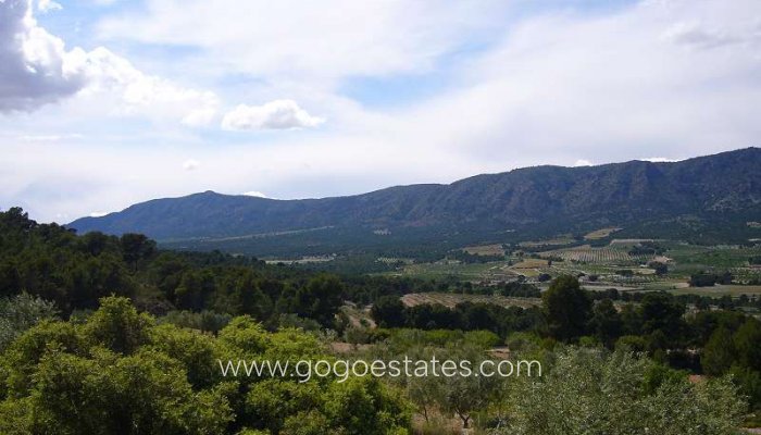 Te koop - Huis - Finca - Cortijo - Salinas - Salinas Centro