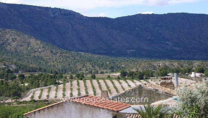 Te koop - Huis - Finca - Cortijo - Salinas - Salinas Centro