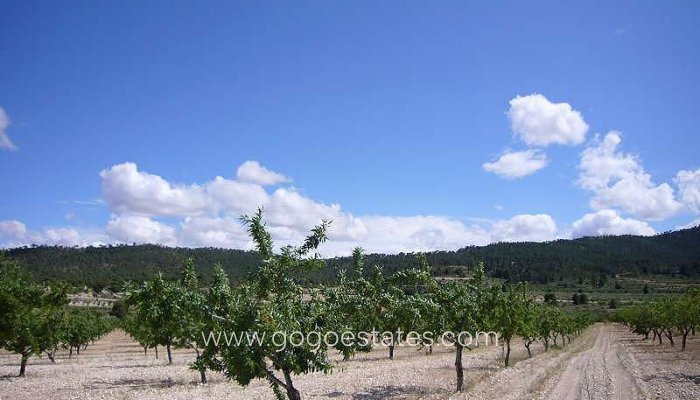 Te koop - Huis - Finca - Cortijo - Salinas - Salinas Centro