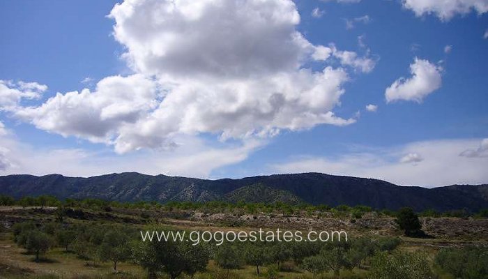 Te koop - Huis - Finca - Cortijo - Salinas - Salinas Centro