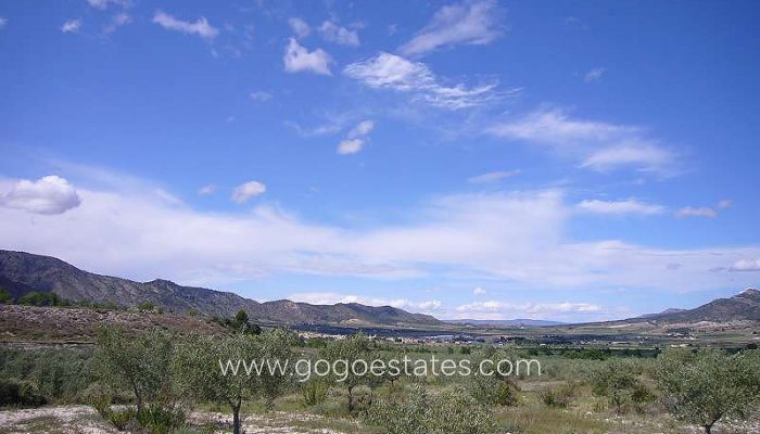 Te koop - Huis - Finca - Cortijo - Salinas - Salinas Centro