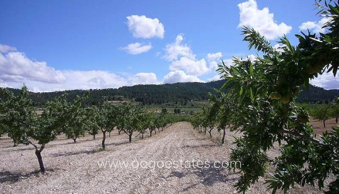 Te koop - Huis - Finca - Cortijo - Salinas - Salinas Centro