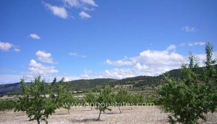 Te koop - Huis - Finca - Cortijo - Salinas - Salinas Centro