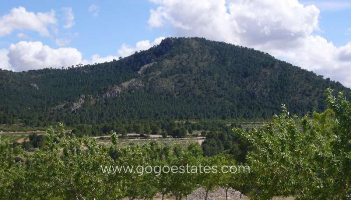 Te koop - Huis - Finca - Cortijo - Salinas - Salinas Centro