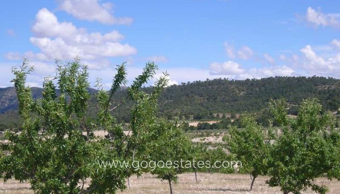 Te koop - Huis - Finca - Cortijo - Salinas - Salinas Centro