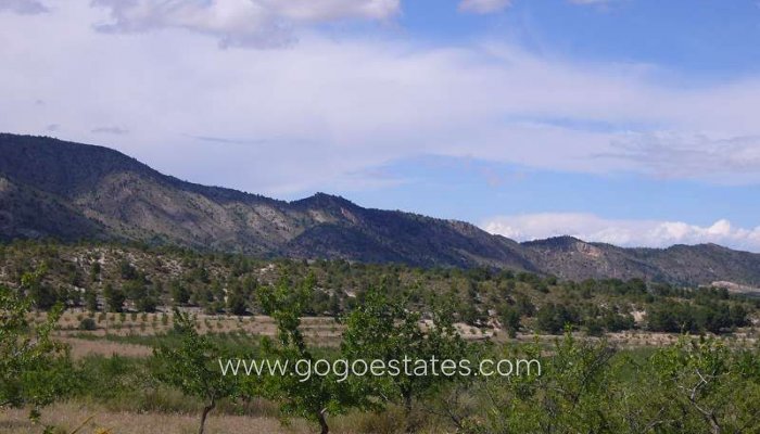 Te koop - Huis - Finca - Cortijo - Salinas - Salinas Centro