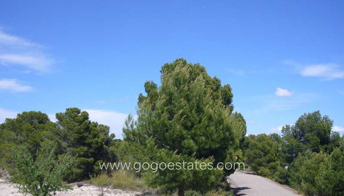 Te koop - Huis - Finca - Cortijo - Salinas - Salinas Centro