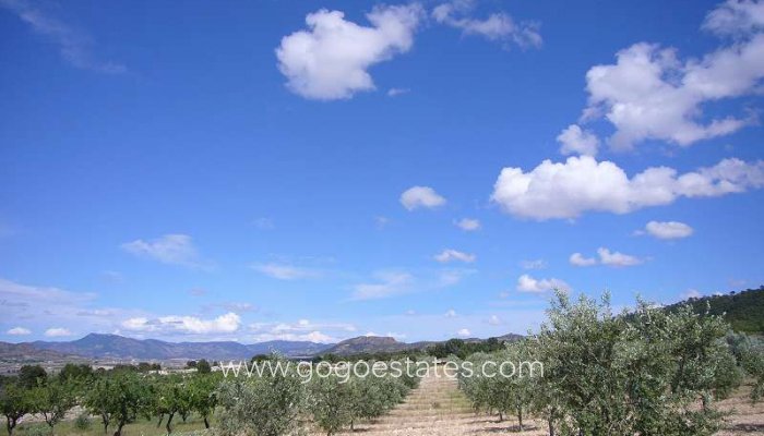 Te koop - Huis - Finca - Cortijo - Salinas - Salinas Centro