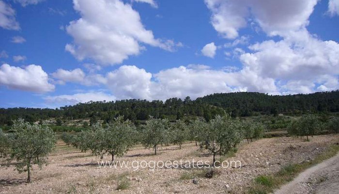 Te koop - Huis - Finca - Cortijo - Salinas - Salinas Centro