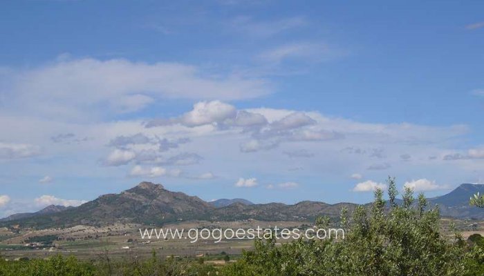 Te koop - Huis - Finca - Cortijo - Salinas - Salinas Centro